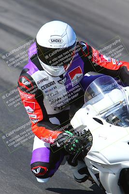 media/Jan-14-2024-SoCal Trackdays (Sun) [[2e55ec21a6]]/Turn 12 Inside (945am)/